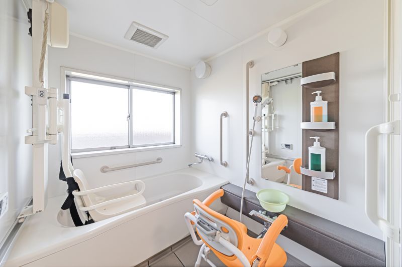Elderly Bathroom Safety detail
